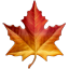maple_leaf